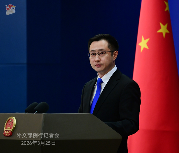 是否有中国船只顺利通过霍尔木兹海峡？中方回应