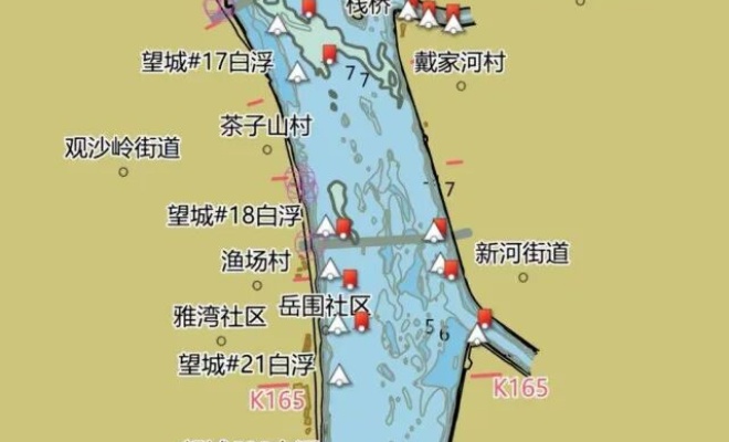 航运“高德地图”来了！