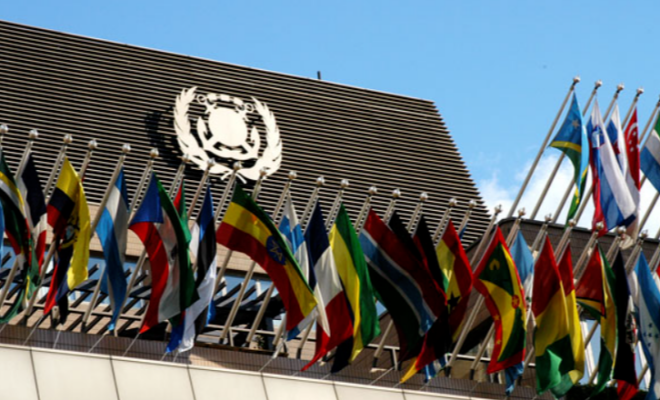 重拳打击海事欺诈与船旗滥用！IMO通过全球首份国际准则