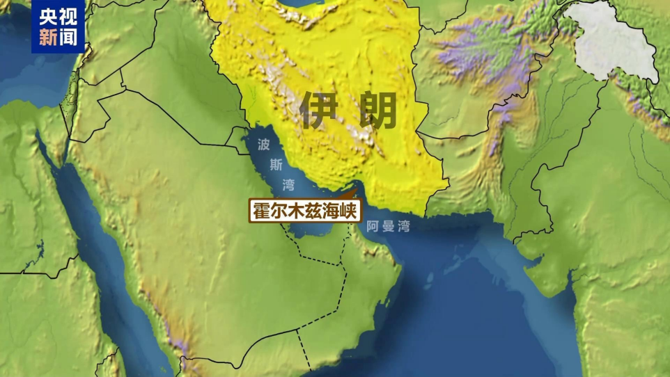 脆弱性2.png 脆弱性2.png