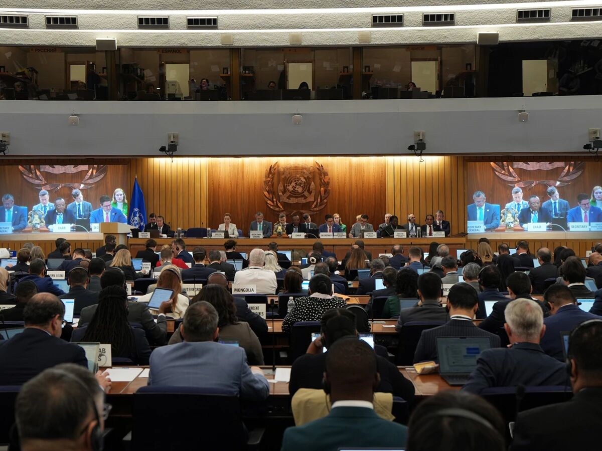 IMO：净零框架“重回正轨”  东北大西洋排放控制区落地