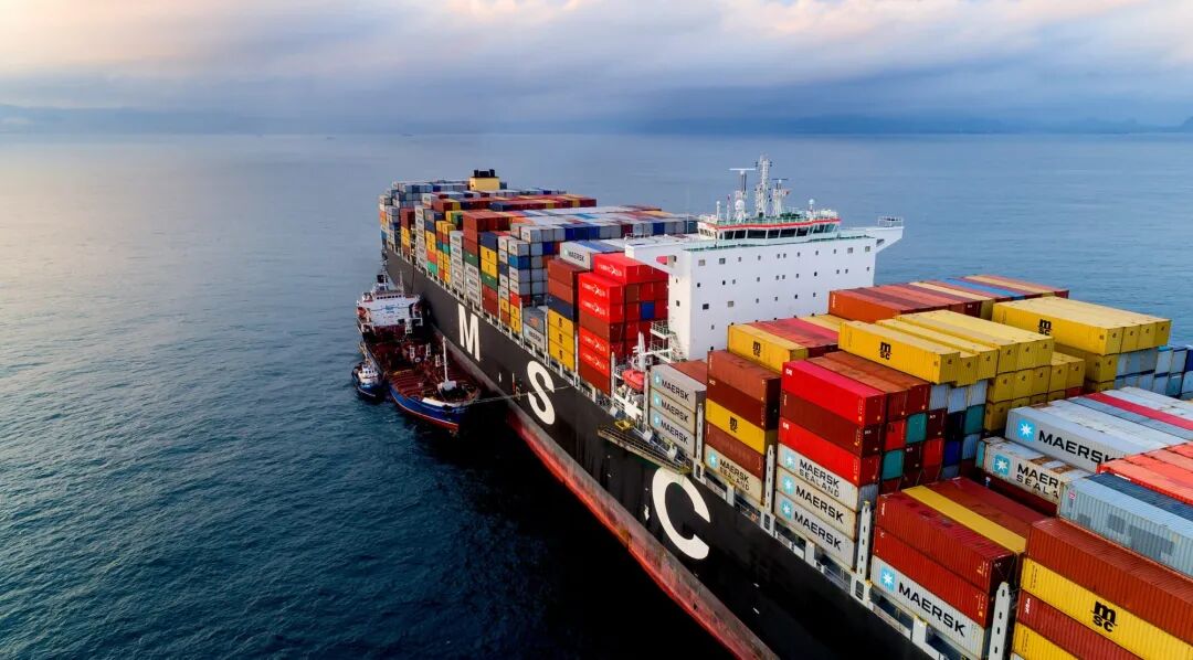 MSC Sets Another Record! But Is It Getting Harder for Small and Mid-Sized Shipping Companies?
