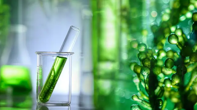 BIMCO通过生物燃料条款