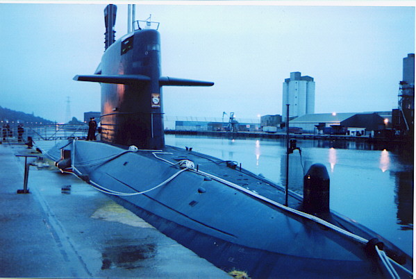 Bruinvis SSK