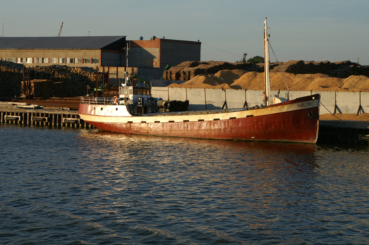 Nauta