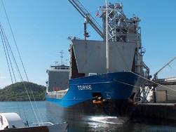 Torne