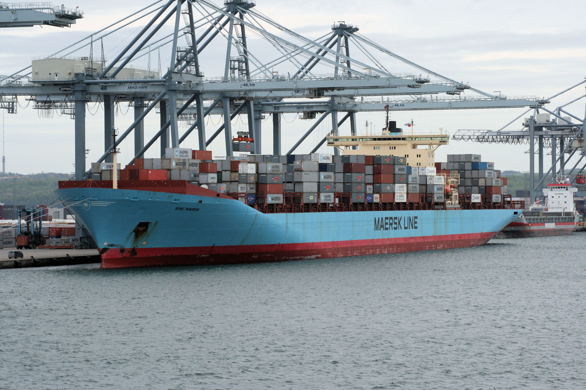 SINE MAERSK
