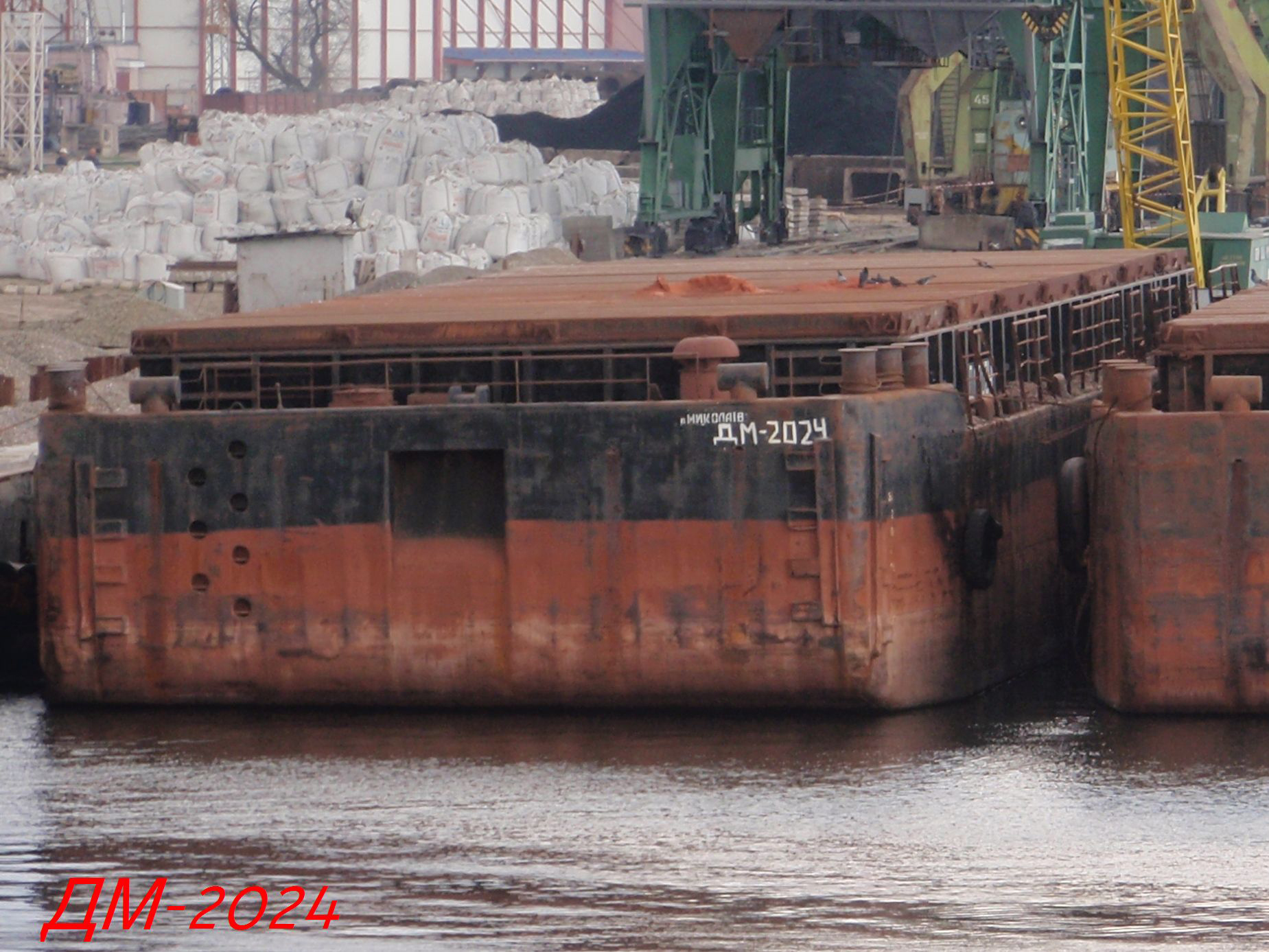 DM-2024