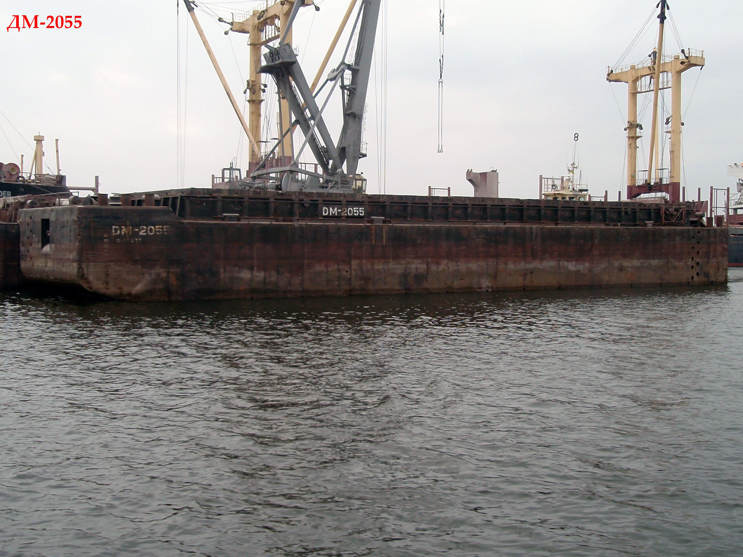 DM-2055