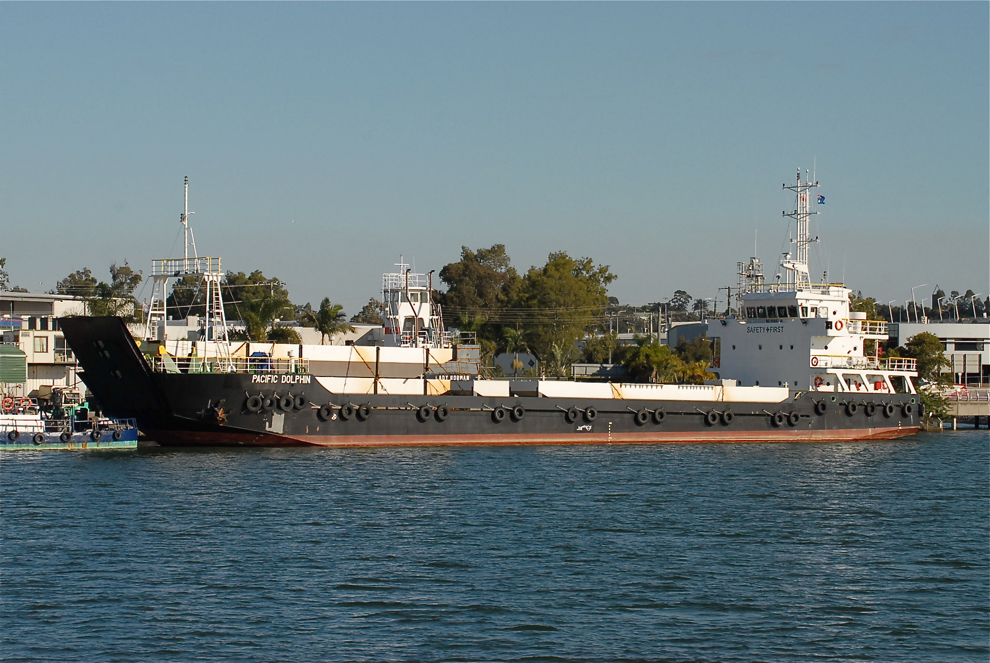 PACIFIC DOLPHIN