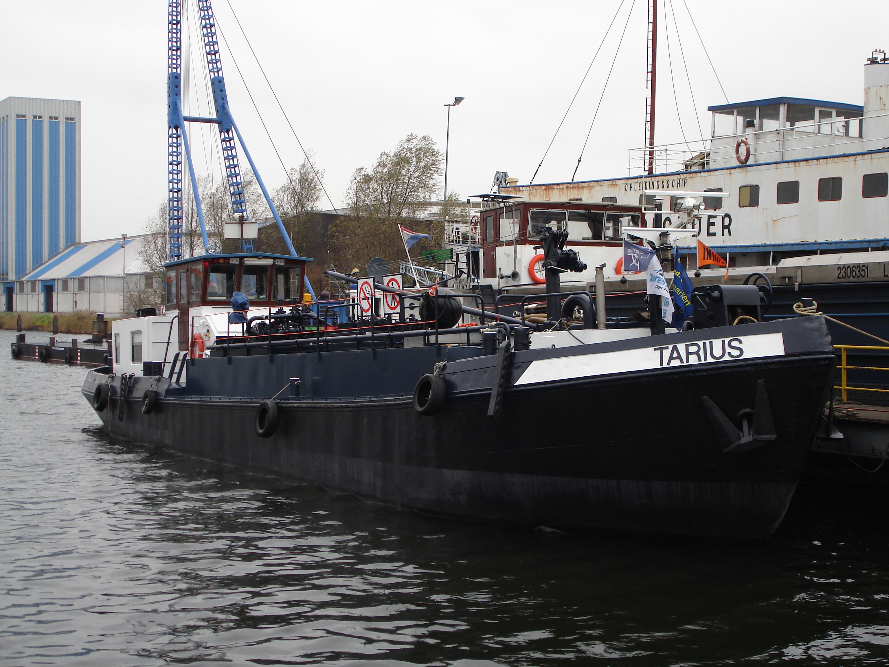 Tarius eni 2311813