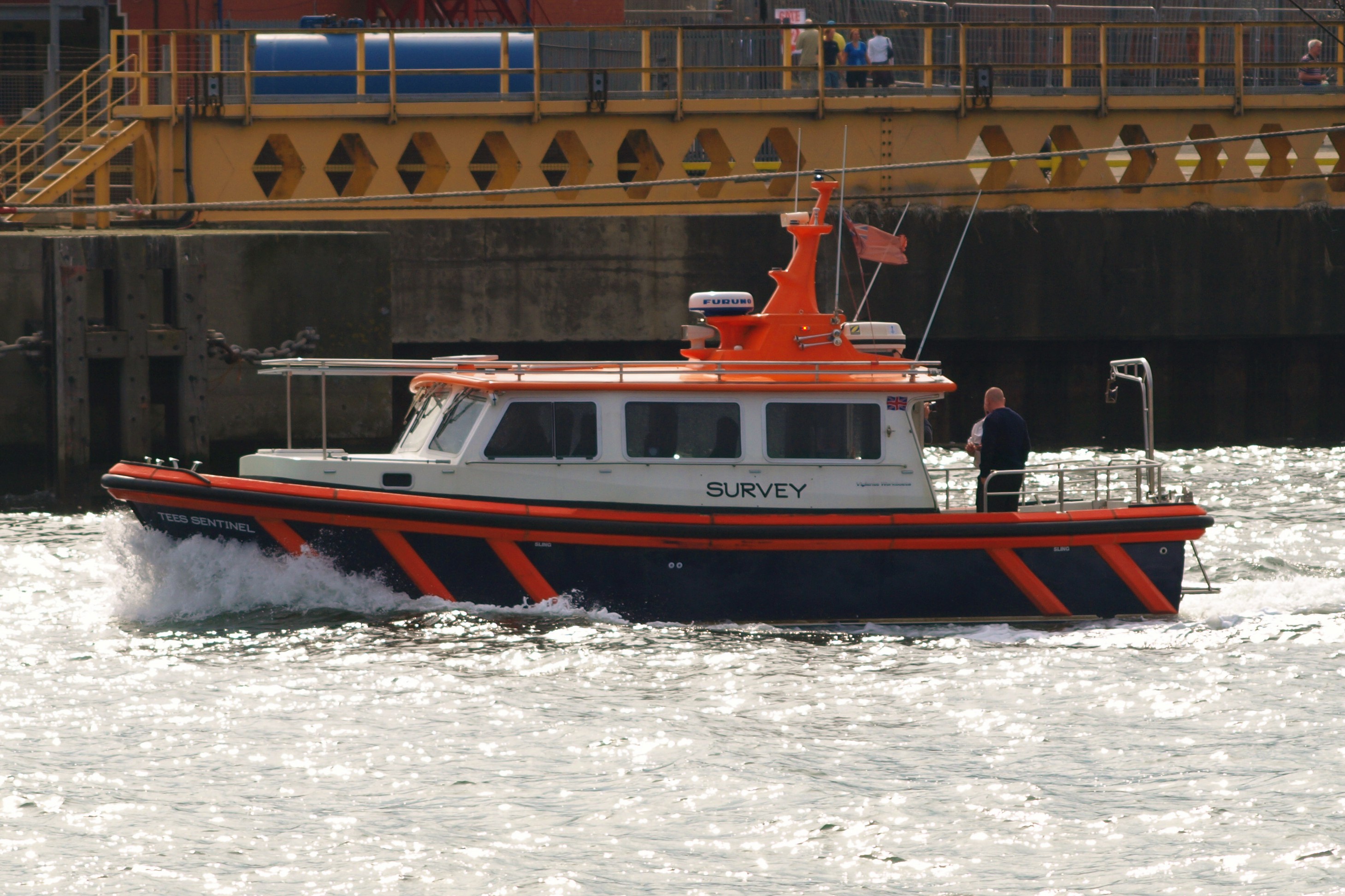 TEES SENTINEL