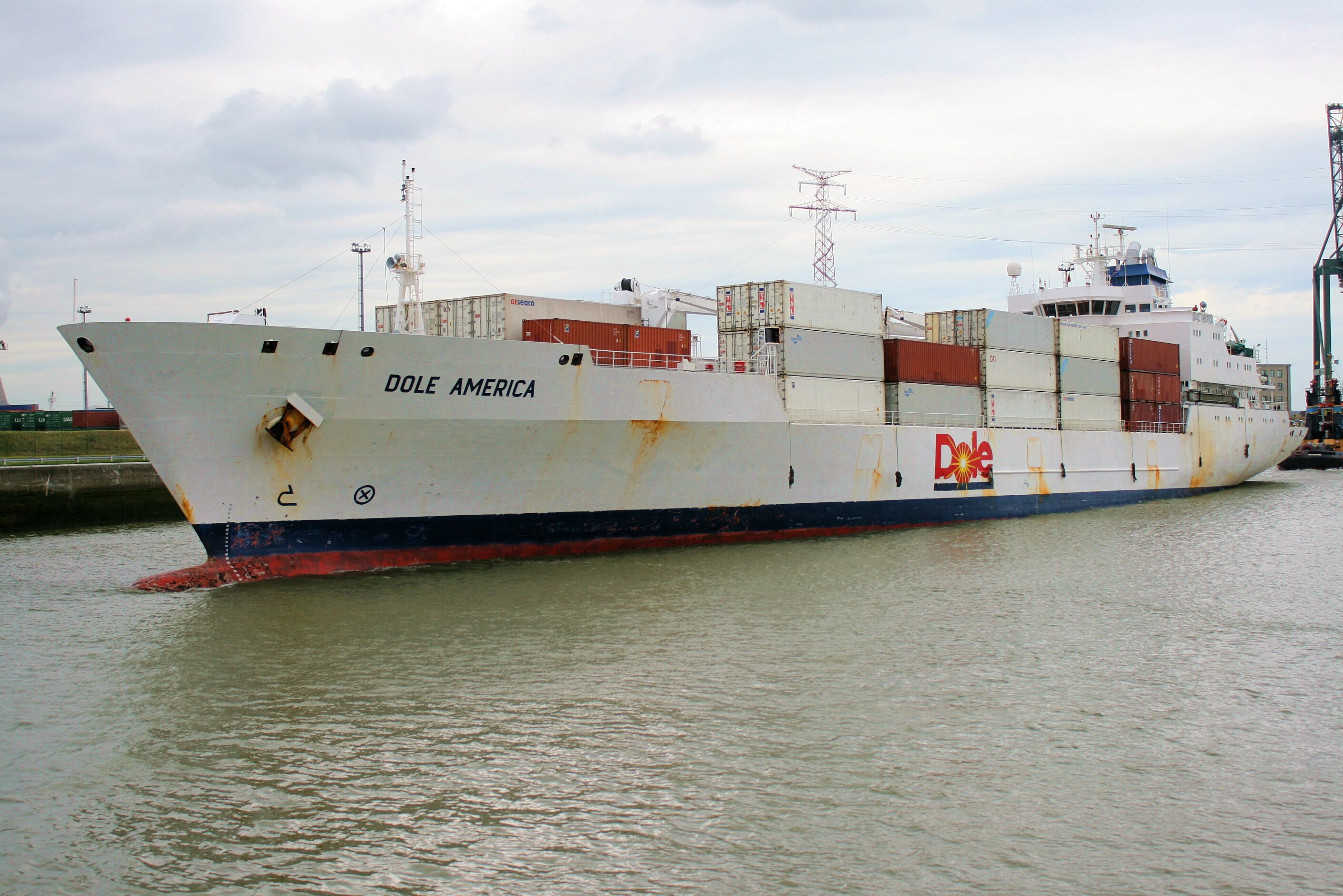 DOLE AMERICA