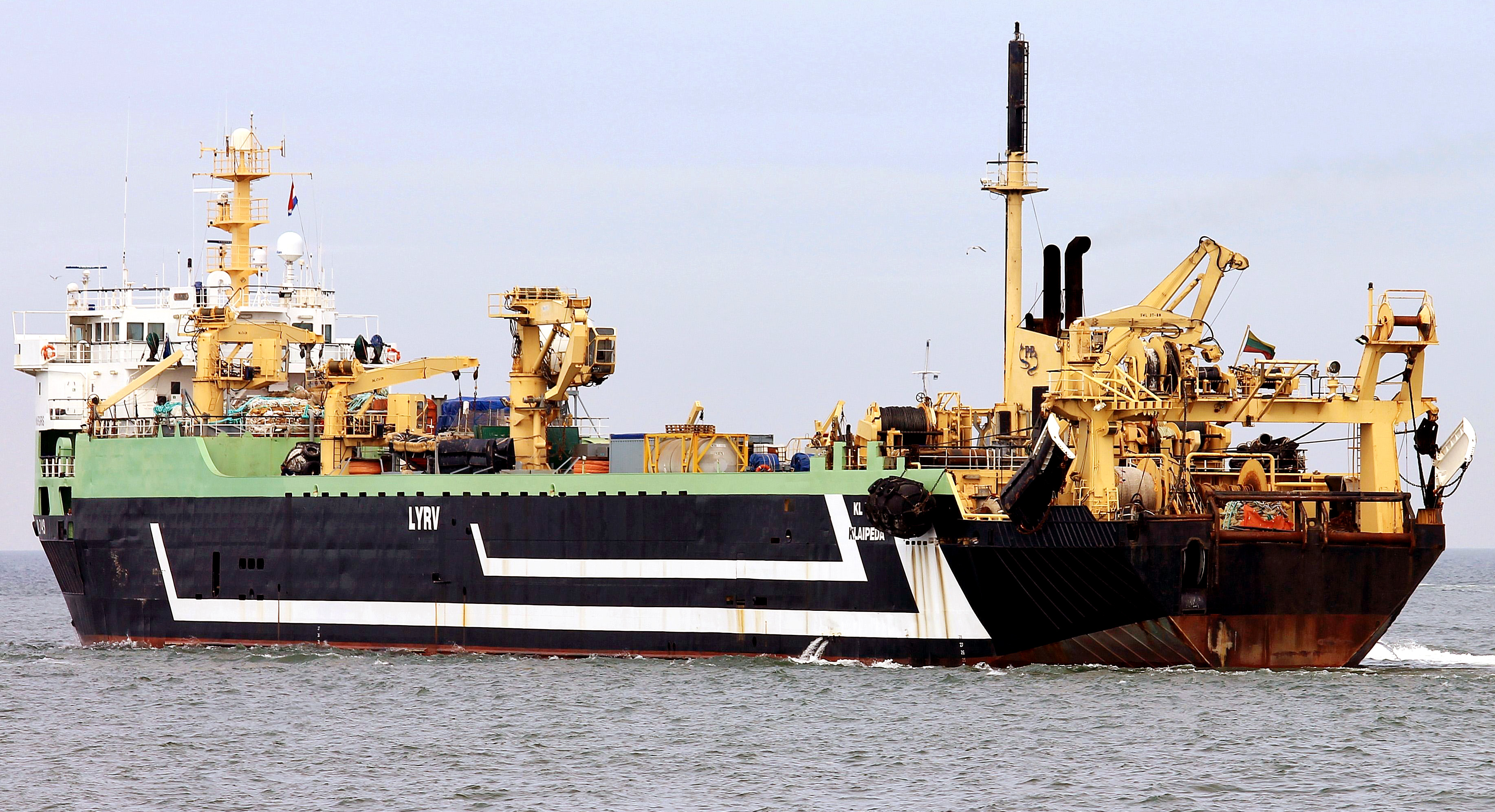 Margiris KL749